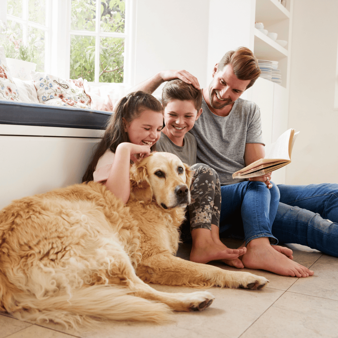 6a7c7239b3f20_family_pet_redesidental clean 6a7c7239b3f20_family_pet_redesidental clean